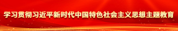 中国胖老头操逼看毛片学习贯彻习近平新时代中国特色社会主义思想主题教育